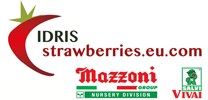 Logo-Idris-Sal-Mazz