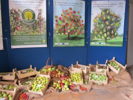 hortifolies-certifruits hortifolies-certifruits