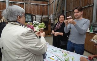 hortifolies-demo-fleuristes hortifolies-demo-fleuristes