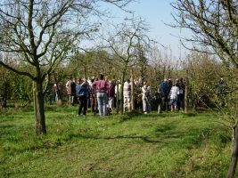 hortifolies-vergers hortifolies-vergers